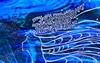 April Rain (600x378, 136.5 kilobytes)